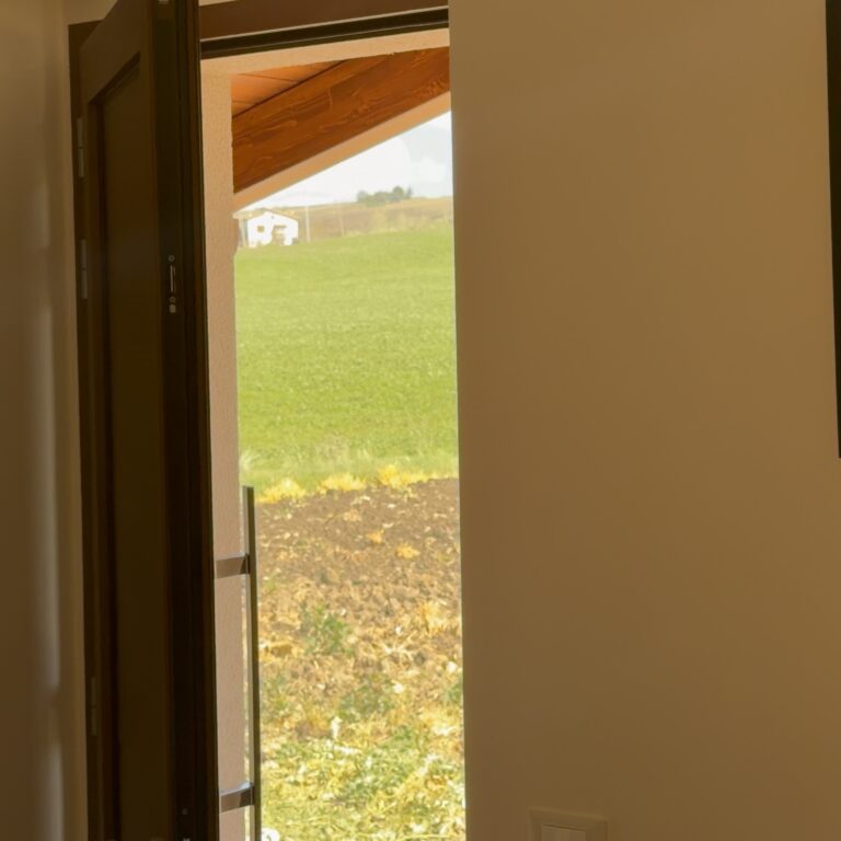 Immagine (8)